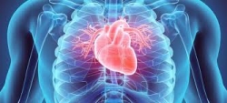 SALUD CARDIOVASCULAR